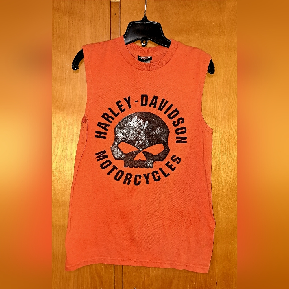Harley Davidson men's sleeveless graphic tee size small